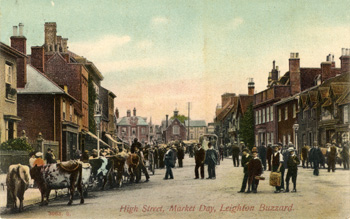 Cattle at the market about 1900